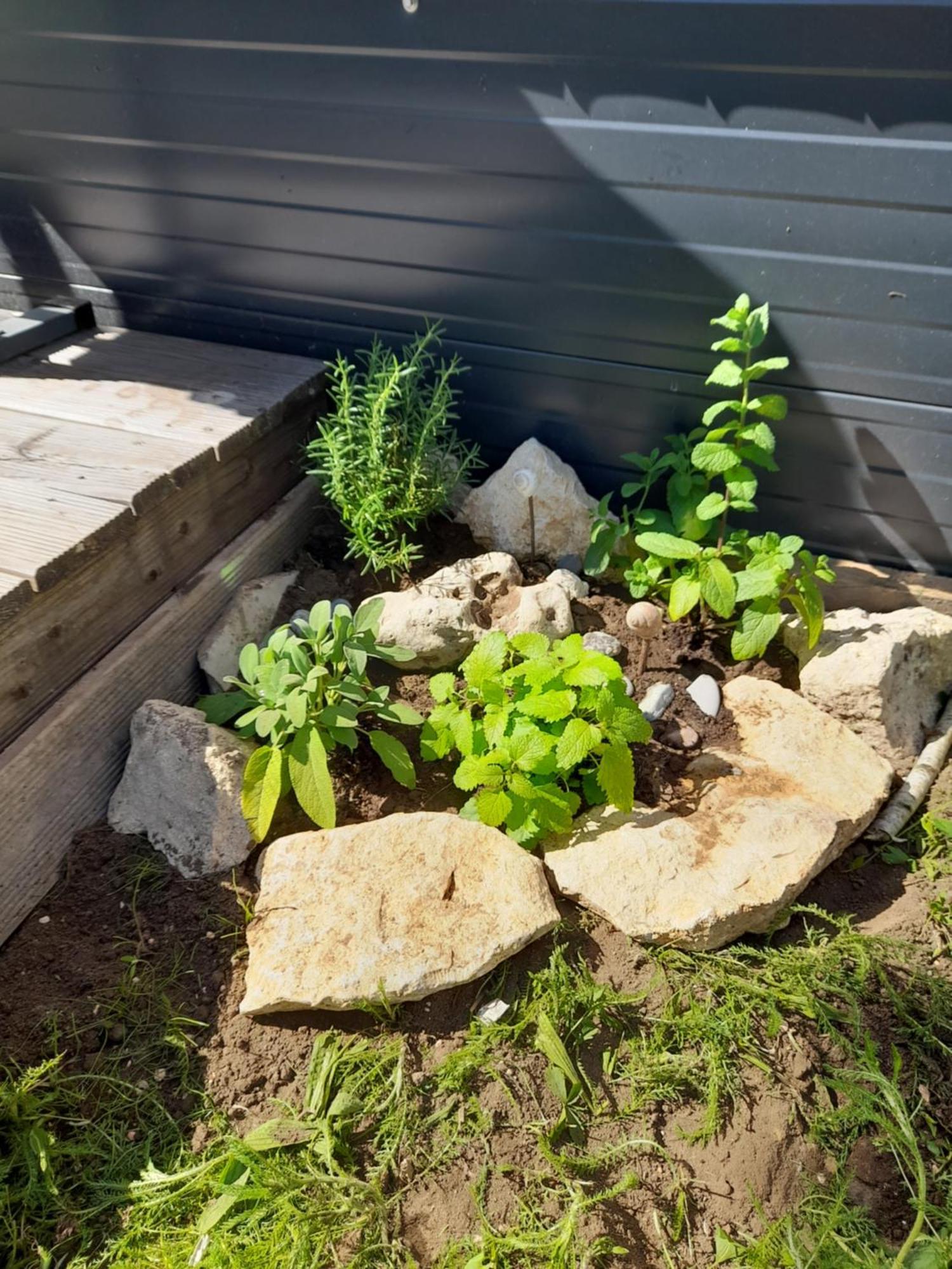 Tinyhouse Wemding Villa Exterior photo